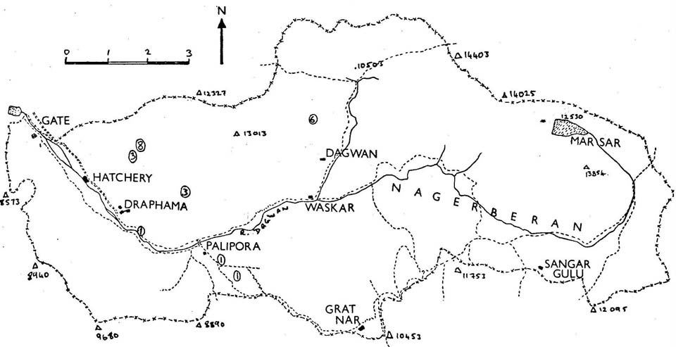 Dachigam Sketch